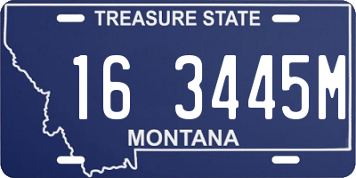 MT license plate 163445M
