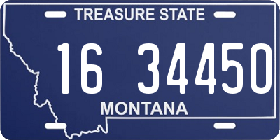 MT license plate 163445O