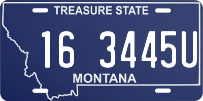 MT license plate 163445U