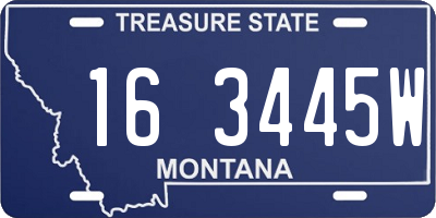 MT license plate 163445W