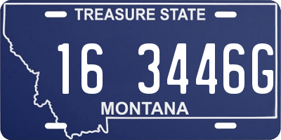 MT license plate 163446G
