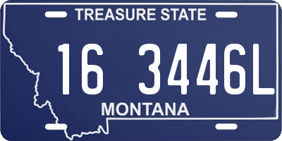 MT license plate 163446L