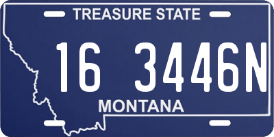 MT license plate 163446N