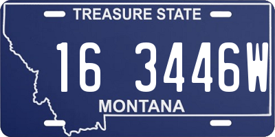MT license plate 163446W