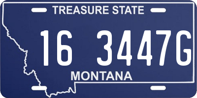 MT license plate 163447G