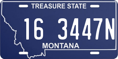 MT license plate 163447N