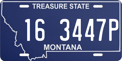 MT license plate 163447P