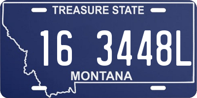 MT license plate 163448L