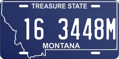 MT license plate 163448M