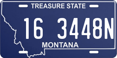 MT license plate 163448N
