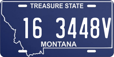 MT license plate 163448V