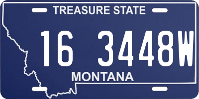 MT license plate 163448W