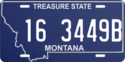 MT license plate 163449B