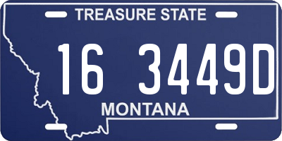 MT license plate 163449D