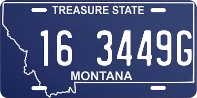 MT license plate 163449G