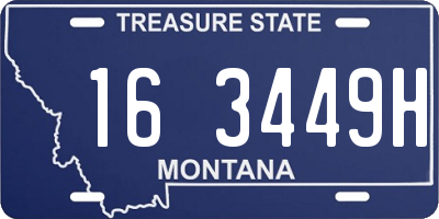MT license plate 163449H