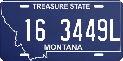 MT license plate 163449L