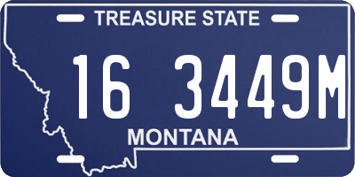MT license plate 163449M
