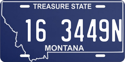 MT license plate 163449N