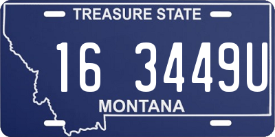 MT license plate 163449U