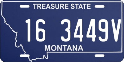 MT license plate 163449V