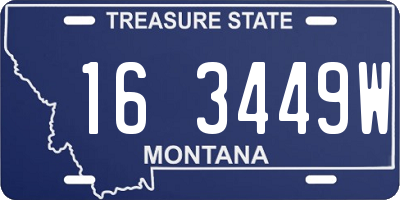 MT license plate 163449W