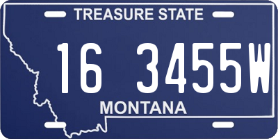 MT license plate 163455W