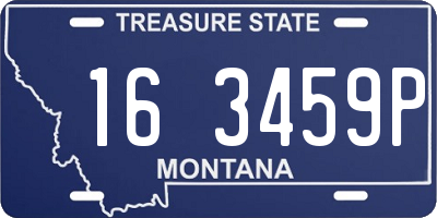 MT license plate 163459P