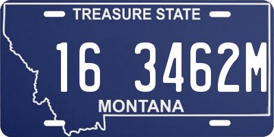 MT license plate 163462M