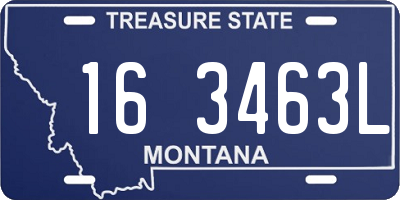 MT license plate 163463L