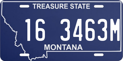 MT license plate 163463M