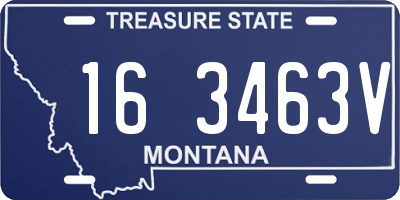 MT license plate 163463V