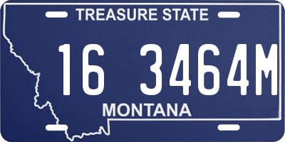 MT license plate 163464M