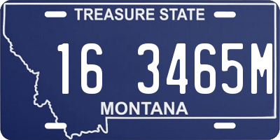 MT license plate 163465M