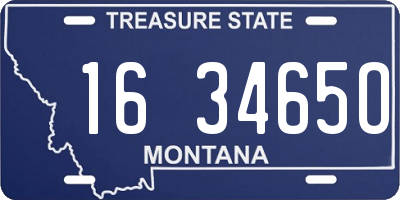 MT license plate 163465O
