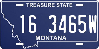 MT license plate 163465W