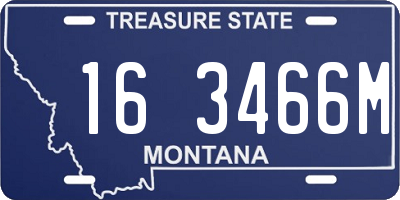 MT license plate 163466M