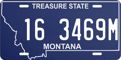 MT license plate 163469M