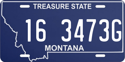 MT license plate 163473G