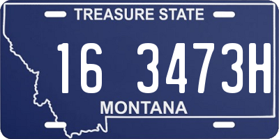 MT license plate 163473H