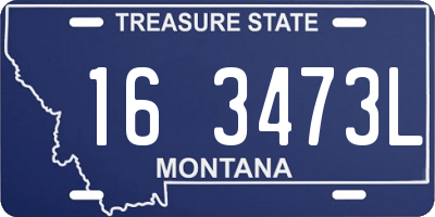 MT license plate 163473L