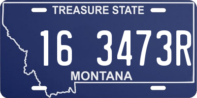MT license plate 163473R