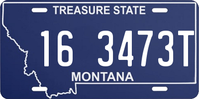 MT license plate 163473T