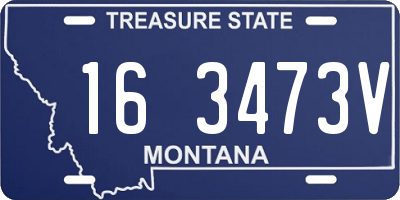 MT license plate 163473V