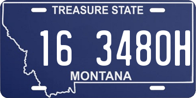 MT license plate 163480H