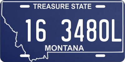MT license plate 163480L