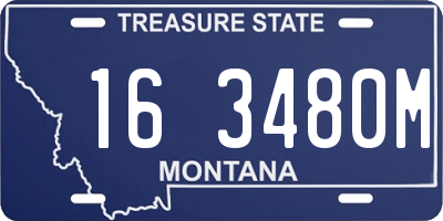 MT license plate 163480M