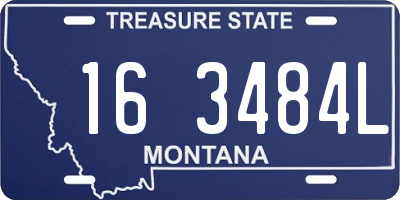 MT license plate 163484L
