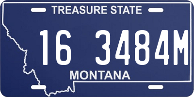 MT license plate 163484M