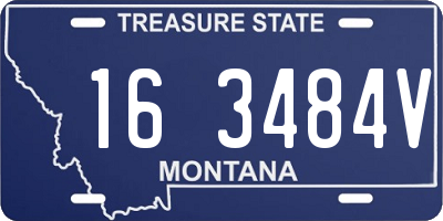 MT license plate 163484V